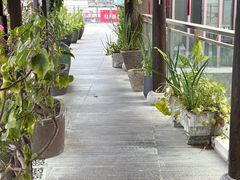 -道南書院·私房菜·早午茶·茶馆