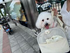 -爱妮康宠物医院·干细胞免疫细胞·肿瘤·心脏(张江店)