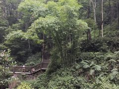 -青城山