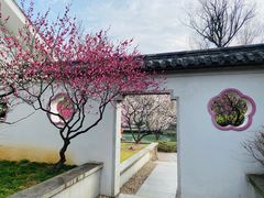 -无锡梅园公园