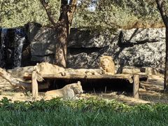 -北京野生动物园