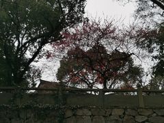 -宁波市保国寺古建筑博物馆