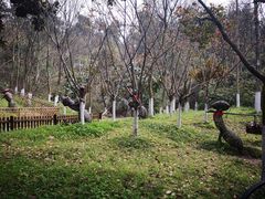 -天目湖山水园