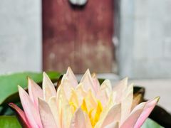 -雨花胜境