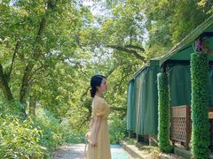 -张坝桂圆林公园