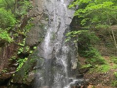 -本溪汤沟绿石谷森林公园