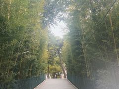 -红螺寺