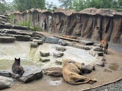 -北京野生动物园