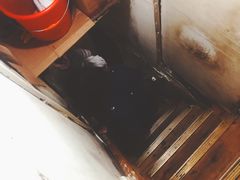 -蘭心餐厅(进贤路店)