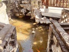 -不倒翁·徽天下名菜楼(马鞍山路店)