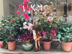 -威克特披萨汉堡