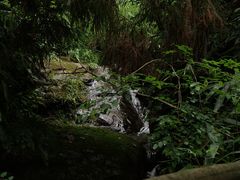-东天目山风景区