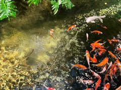 -聚缘堂·海鲜私房菜(松岭路店)