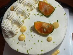 -蜜肆动物奶油蛋糕·个性定制·下午茶甜品