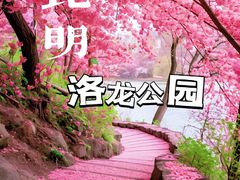 -洛龙公园