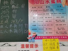 -老袁家蜜桃农场·阳山水蜜桃