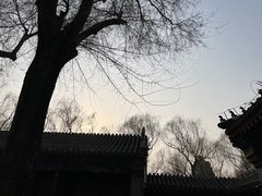 -恭王府博物馆