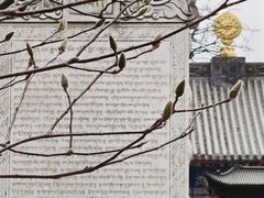 -护国法轮寺