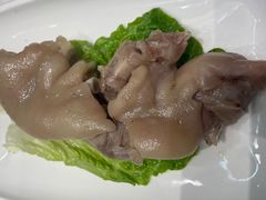 -丁老爷子苏香圆