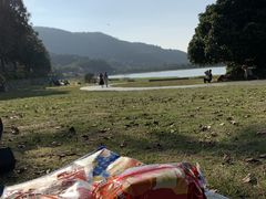 -风云岭森林公园