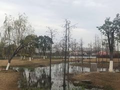 -上海长兴岛郊野公园