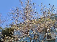 -贮水山儿童公园