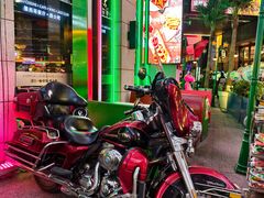 -Famous肥猫墨西哥音乐餐吧(五棵松华熙LIVE店)