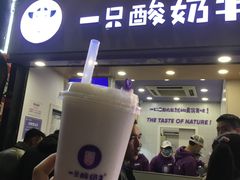 门面-一只酸奶牛(八一路店)