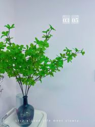 -变美丽半永久纹眉连锁·机器野生眉·洗眉