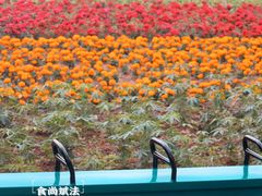 -丹樱生态园