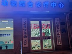 -北京观赏动物医院·24小时大型综合·猫专科·异宠专科