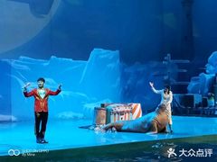 -大连圣亚海洋世界