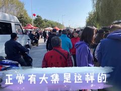 -蒲河大集