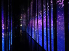 -SPARK(成都W酒店)