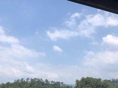 -广州市流溪河国家森林公园