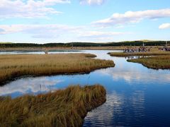 -塞罕坝国家级自然保护区