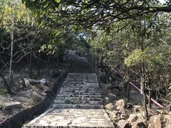 -东莞市大岭山森林公园