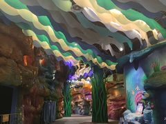 -青岛嘉年华主题乐园