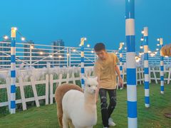 -Blue Concept Cafe&Farm·關於藍