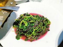 -披云云小馆·味道江湖(姚家园万象汇店)