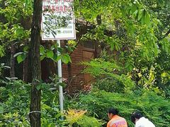 -铁山坪森林公园