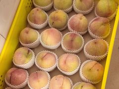 -老袁家蜜桃农场·阳山水蜜桃