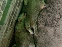 -杭州野生动物世界