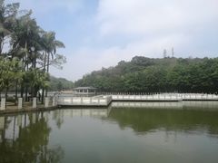 -西樵山风景名胜区-天湖公园