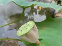 -伴山茶苑·围炉煮茶