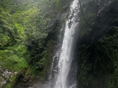 -莫里热带雨林景区