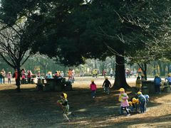 -三鹰之森吉卜力美术馆