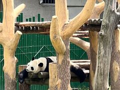 -沈阳森林动物园