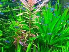 -上海海洋水族馆