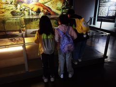 -中国西峡恐龙遗迹园